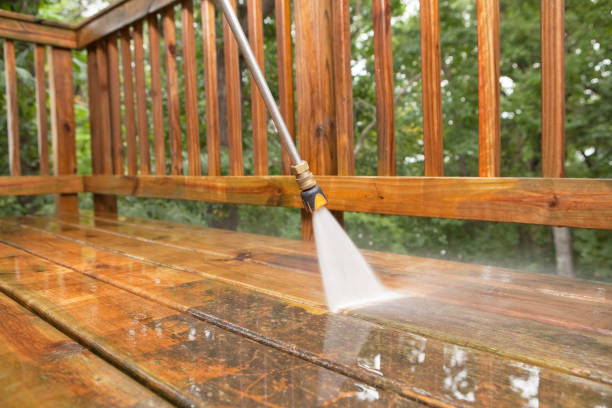 Best Affordable Pressure Washing  in Hazlehurst, MS