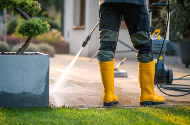 Best Roof Power Washing Services  in Hazlehurst, MS